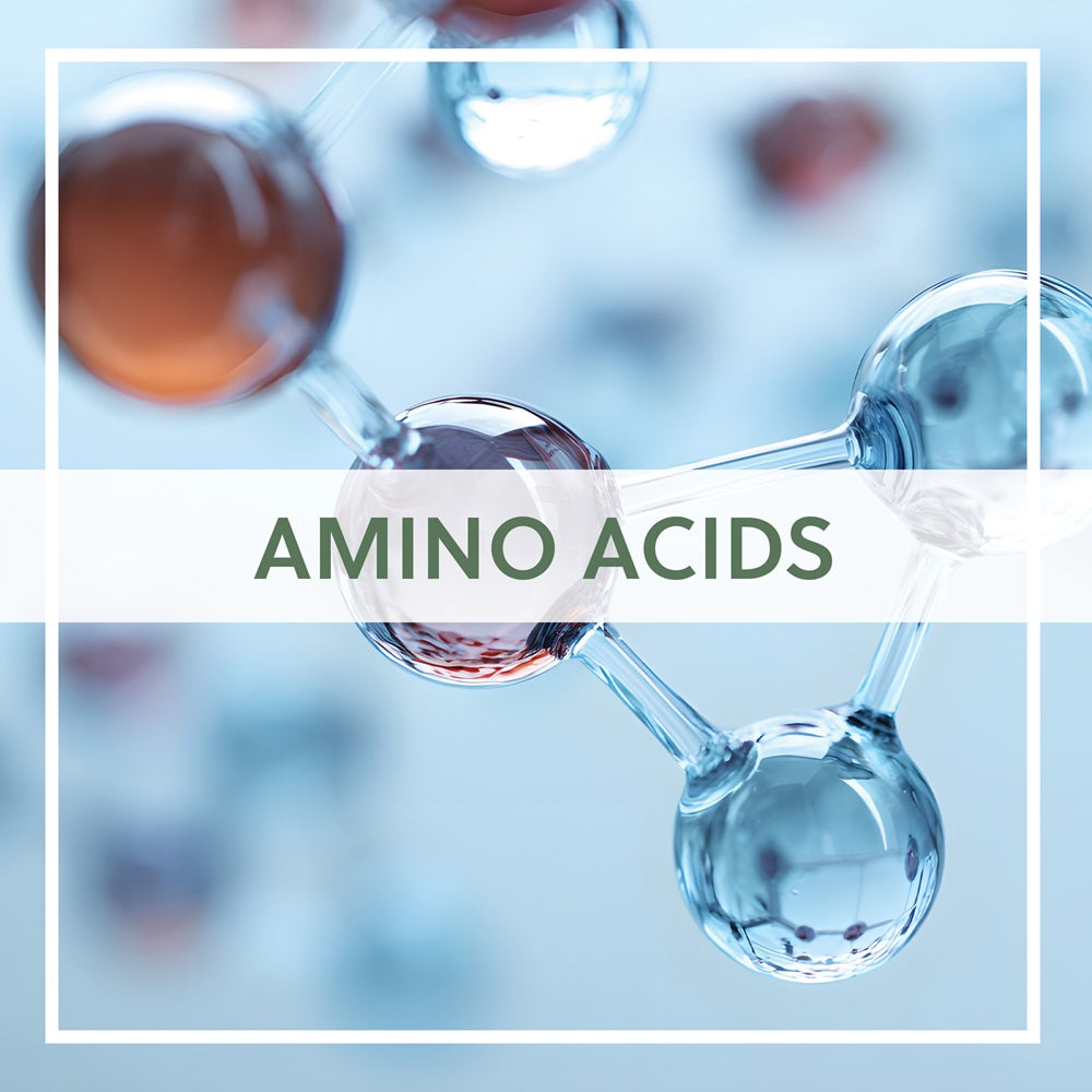 Amino Acids