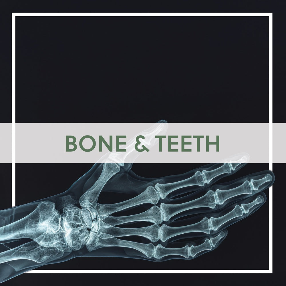 Bone & Teeth Health