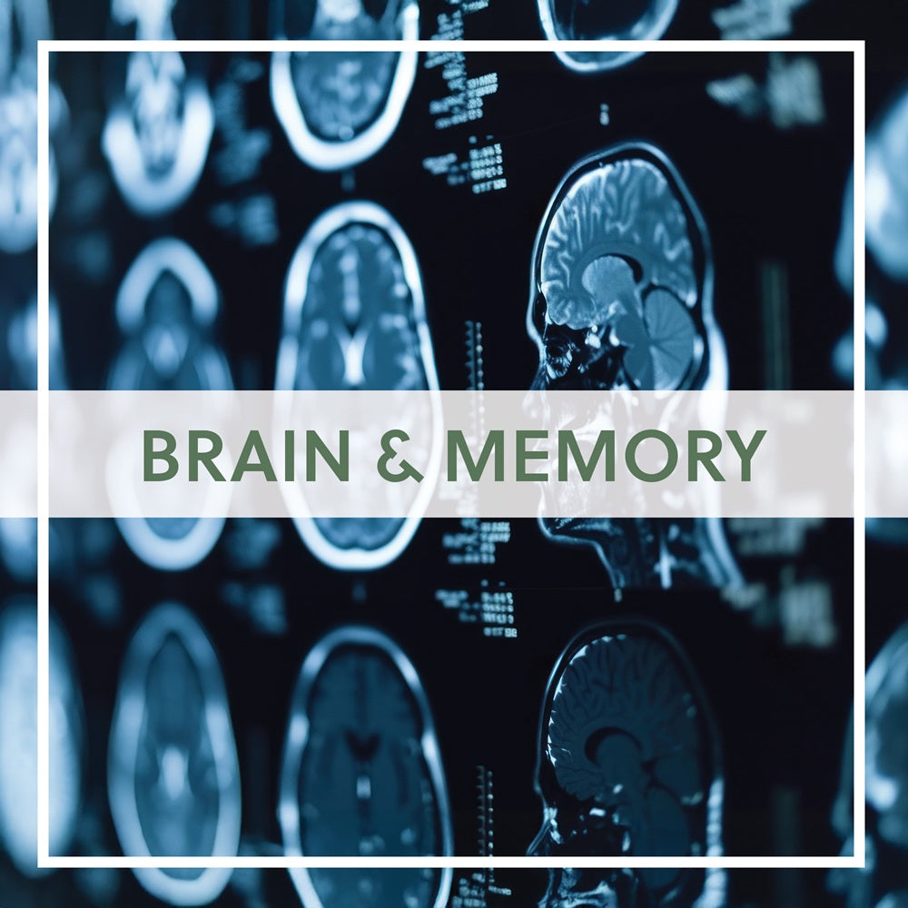 Brain & Memory