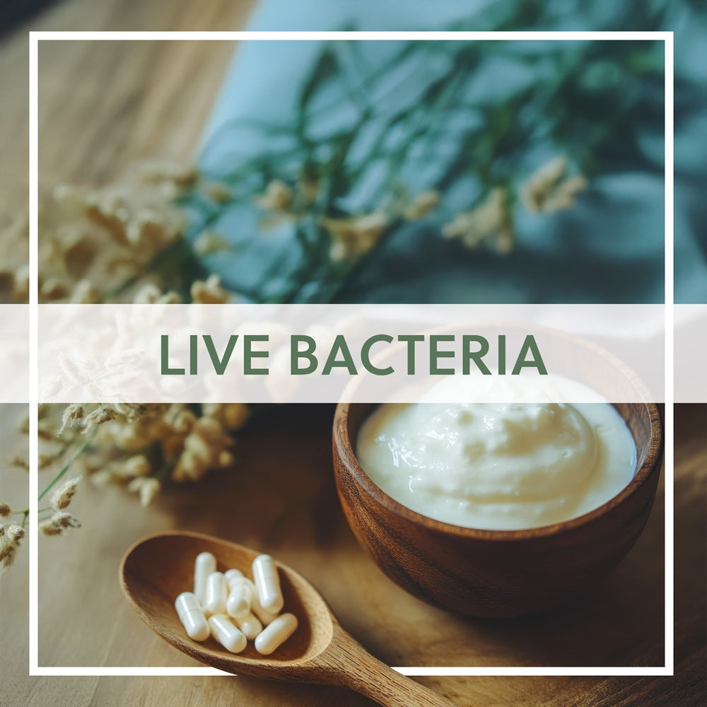 Live Bacteria