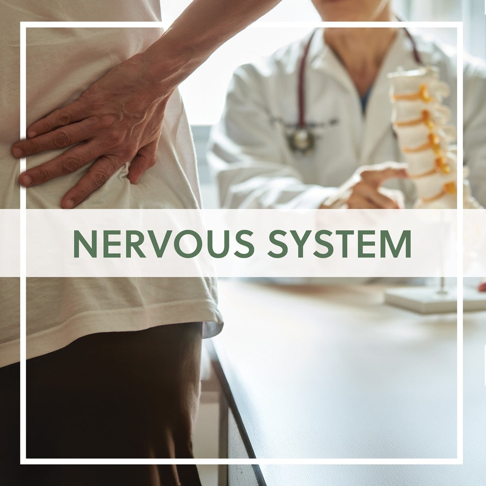 Nervous System