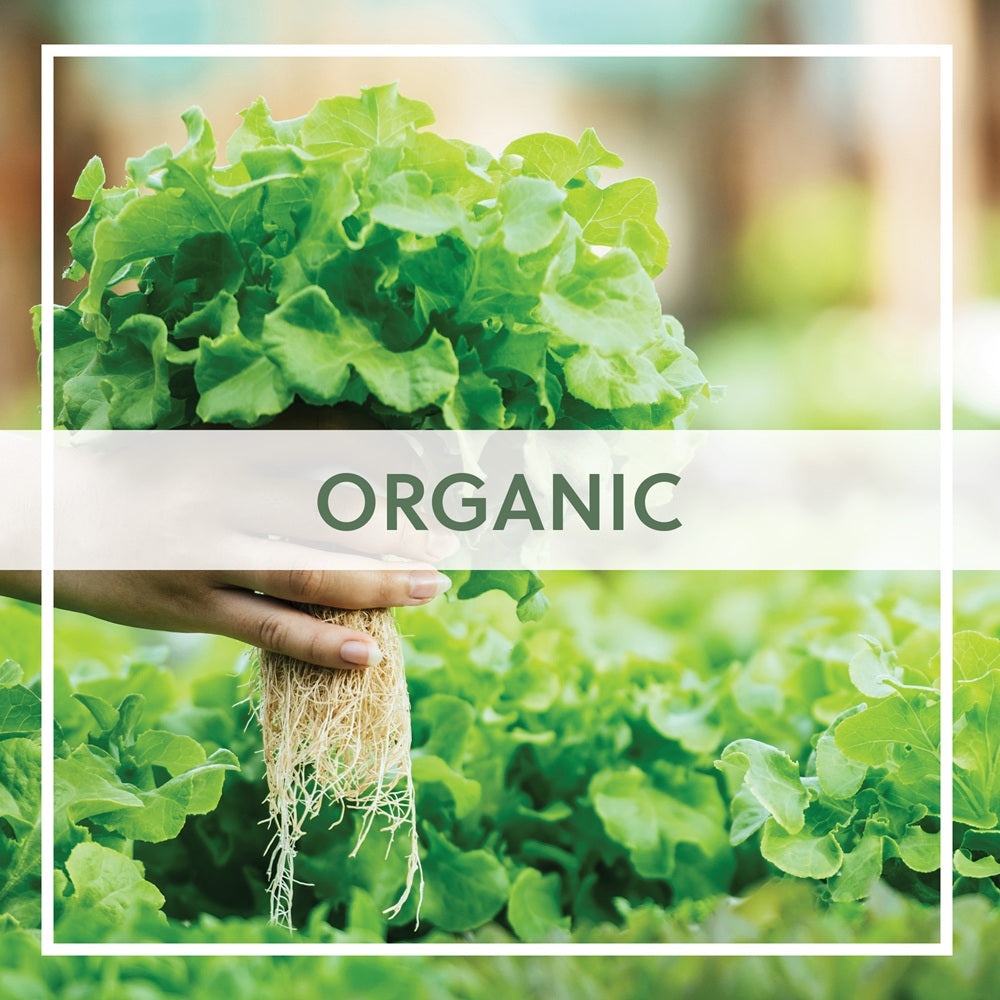 Organic Supplements