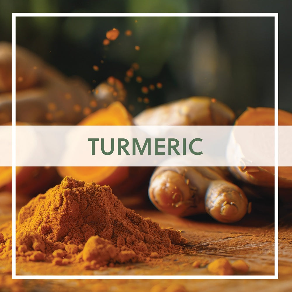 Turmeric