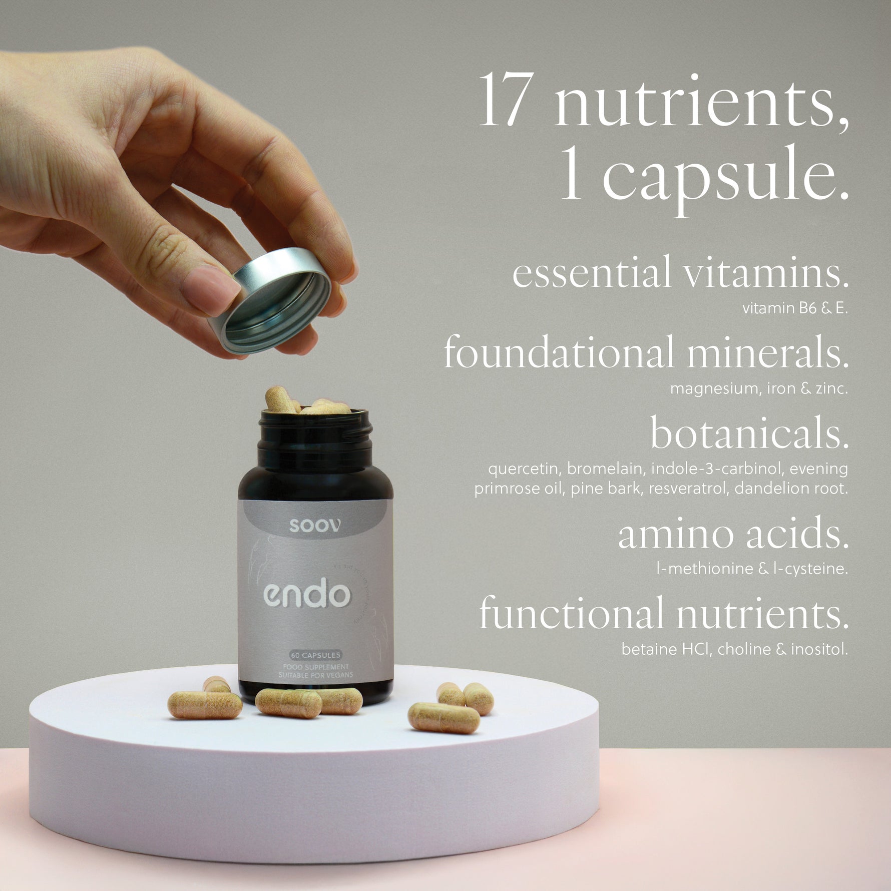 Endo - Daily Multivitamin - 60 Capsules