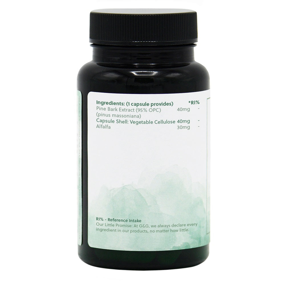 Pine Bark - 90 Vegan Capsules