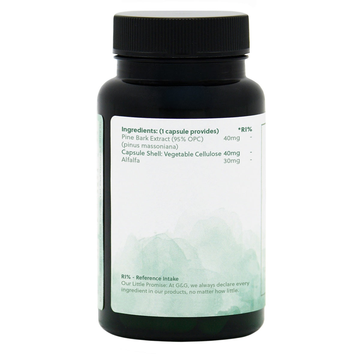 Pine Bark - 90 Vegan Capsules