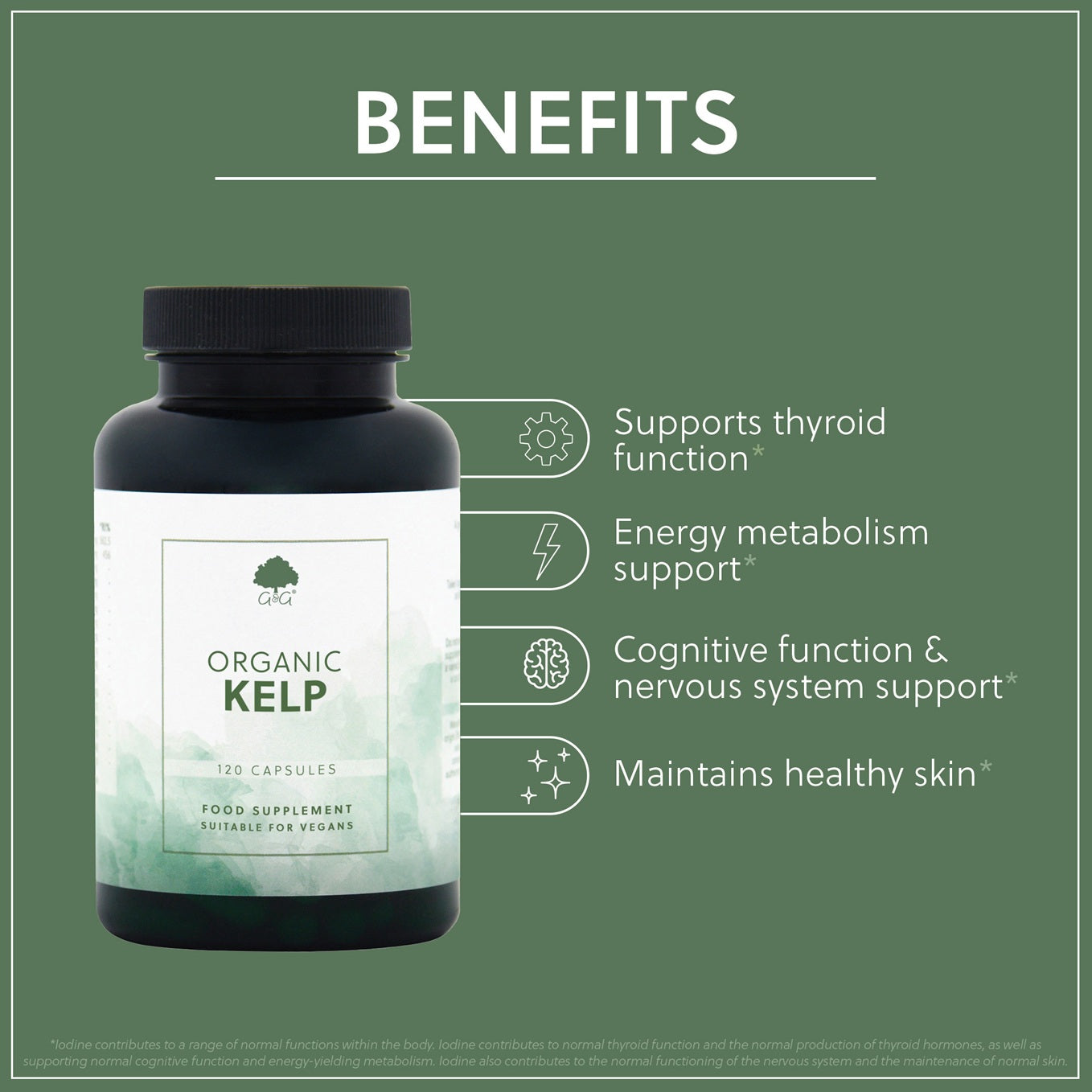 Organic Kelp 500mg - 120 Vegan Capsules