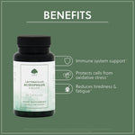 Lactobacillus Acidophilus - 8 Billion - 60 Vegan Capsules
