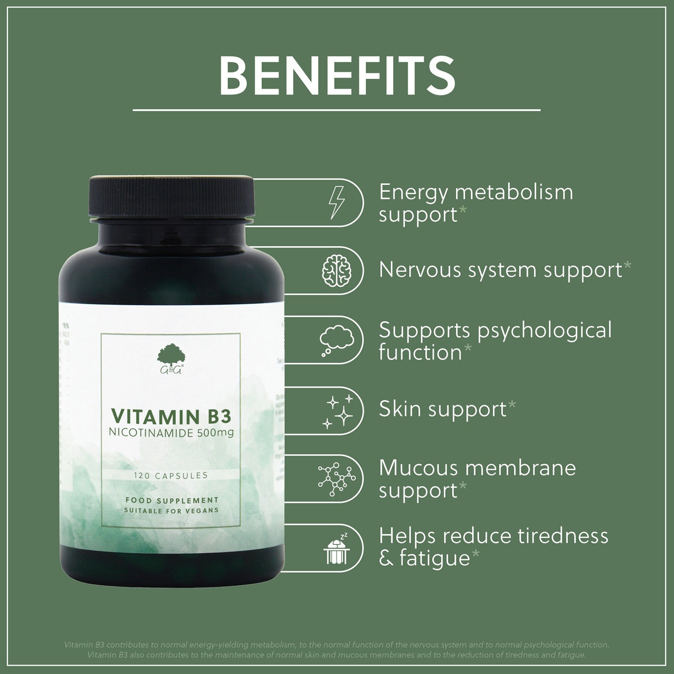 Vitamin B3 Nicotinamide 500mg - 120 Vegan Capsules
