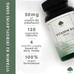 Vitamin B2 Riboflavin 50mg - 120 Vegan Capsules
