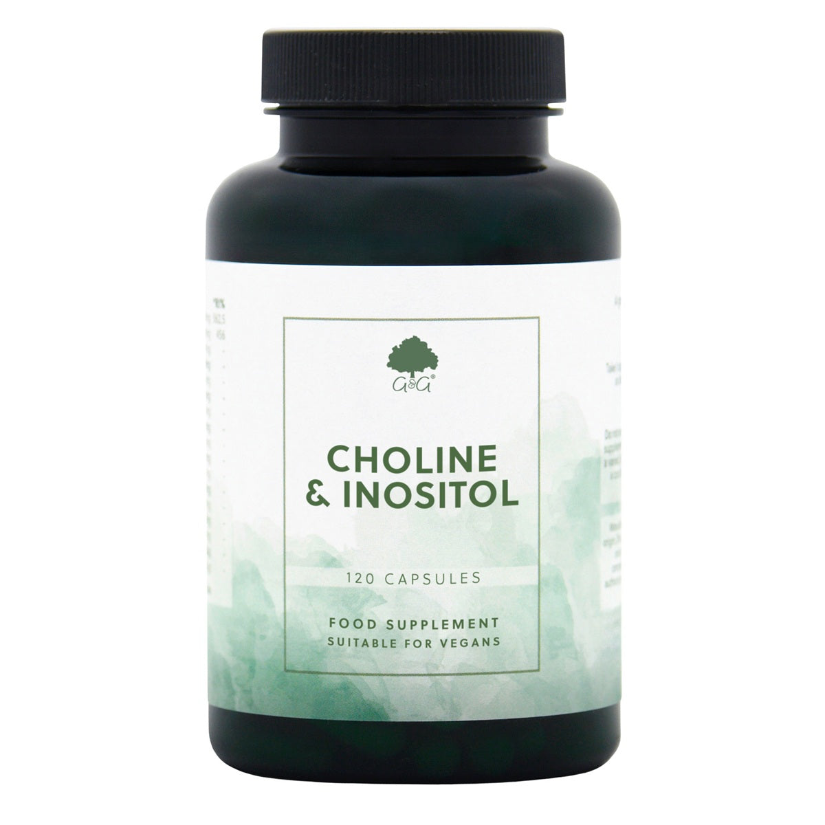 Choline & Inositol  - 120 Vegan Capsules