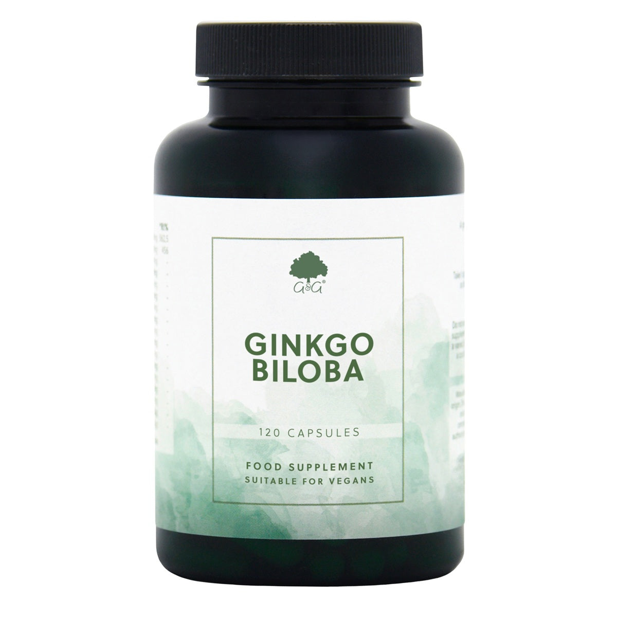 Ginkgo Biloba - 120 Vegan Capsules