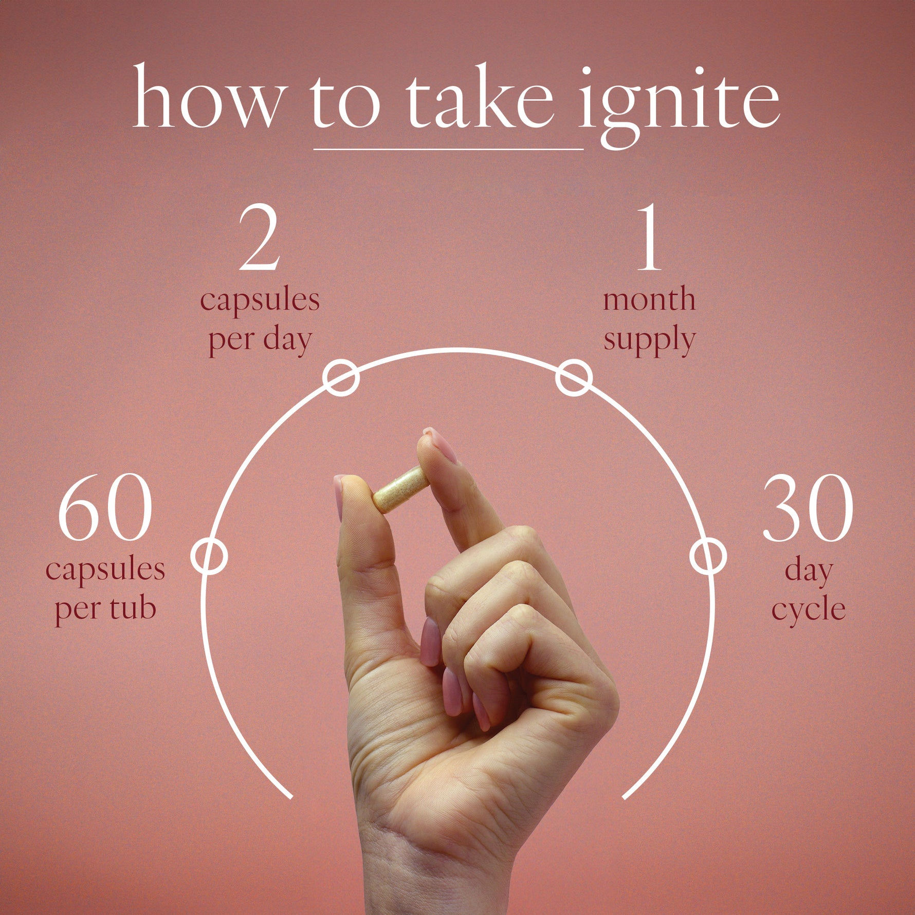 Ignite - 60 Vegan Capsules