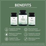 Everyday Energy Bundle