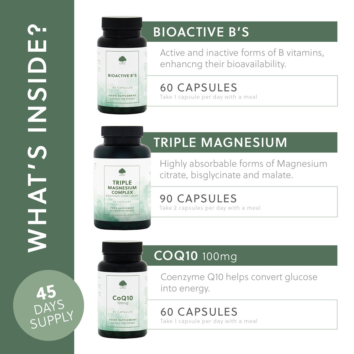 Everyday Energy Bundle