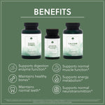 Gut Health Bundle