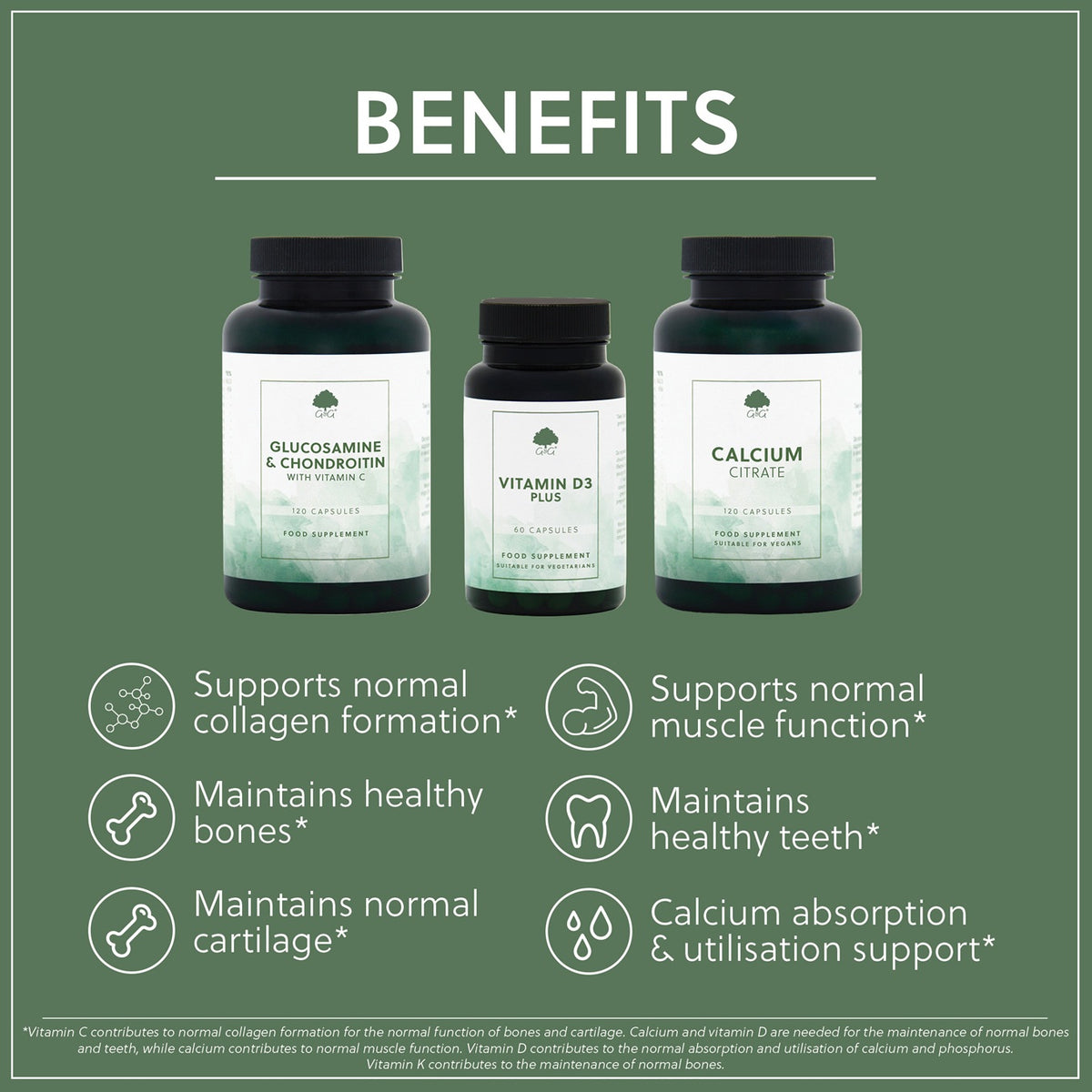 Joints & Bones Bundle