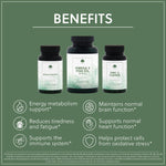 Mind & Focus Bundle