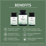 Turmeric, Omega & Quercetin Bundle