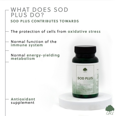 SOD Plus  (Superoxide dismutase) - 60 Vegan Capsules