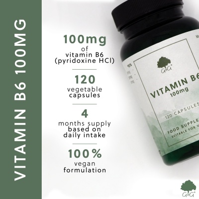 Vitamin B6 100mg - 120 Vegan Capsules